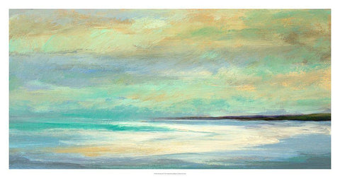 Shoreline III Black Ornate Wood Framed Art Print with Double Matting by Finch, Sheila