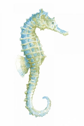 Watercolor Seahorse I White Modern Wood Framed Art Print with Double Matting by Meagher, Megan