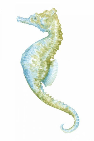 Watercolor Seahorse II White Modern Wood Framed Art Print with Double Matting by Meagher, Megan