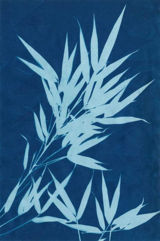Cyanotype No.1 White Modern Wood Framed Art Print with Double Matting by Stramel, Renee W.