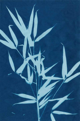 Cyanotype No.2 White Modern Wood Framed Art Print with Double Matting by Stramel, Renee W.