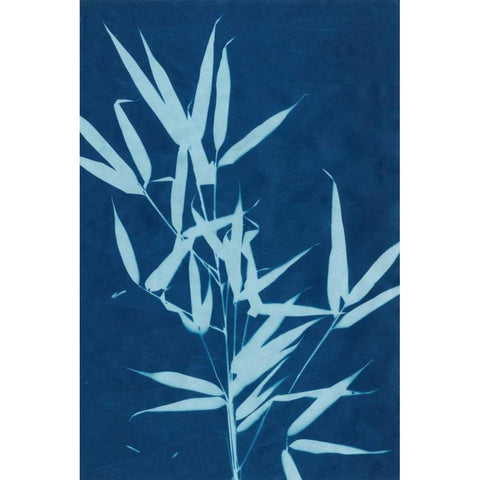 Cyanotype No.2 Gold Ornate Wood Framed Art Print with Double Matting by Stramel, Renee W.