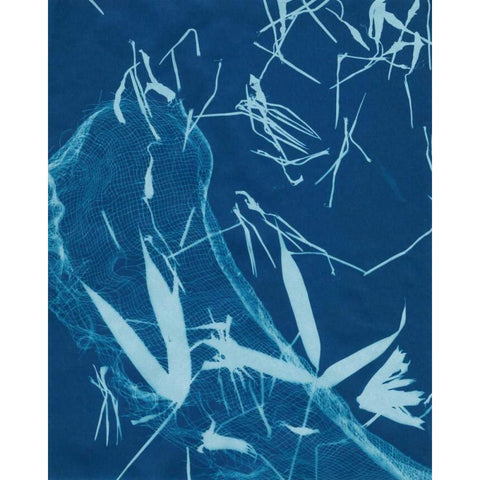 Cyanotype No.5 White Modern Wood Framed Art Print by Stramel, Renee W.
