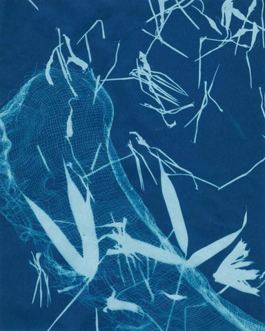 Cyanotype No.5 Black Ornate Wood Framed Art Print with Double Matting by Stramel, Renee W.