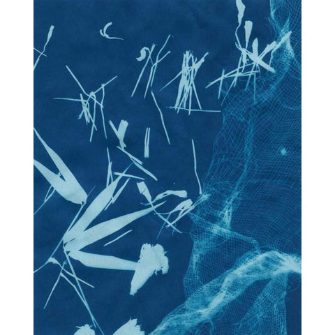 Cyanotype No.6 Black Modern Wood Framed Art Print with Double Matting by Stramel, Renee W.