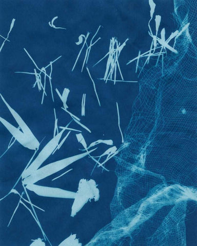 Cyanotype No.6 White Modern Wood Framed Art Print with Double Matting by Stramel, Renee W.