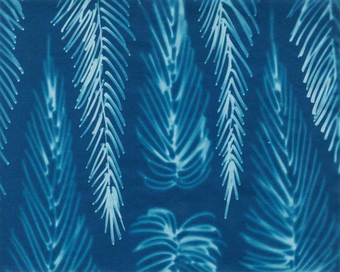 Cyanotype No.7 White Modern Wood Framed Art Print with Double Matting by Stramel, Renee W.