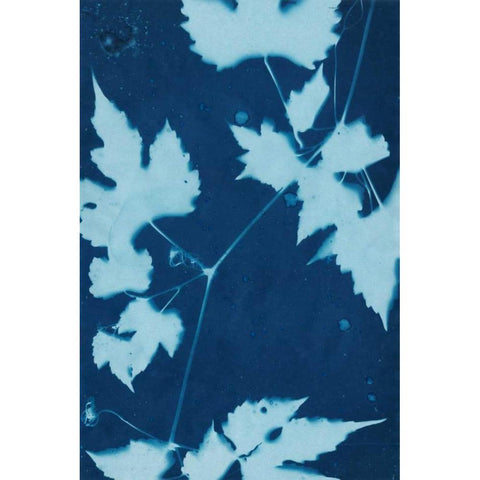 Cyanotype No.9 Gold Ornate Wood Framed Art Print with Double Matting by Stramel, Renee W.