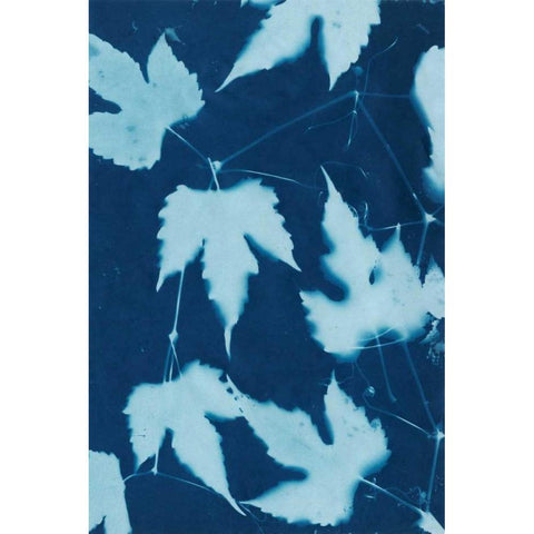 Cyanotype No.10 Gold Ornate Wood Framed Art Print with Double Matting by Stramel, Renee W.