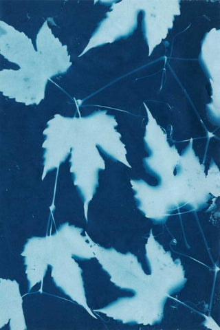 Cyanotype No.10 White Modern Wood Framed Art Print with Double Matting by Stramel, Renee W.