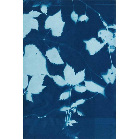 Cyanotype No.12 Gold Ornate Wood Framed Art Print with Double Matting by Zarris, Chariklia