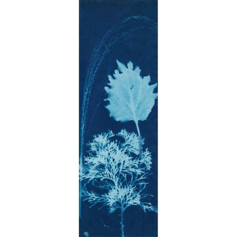 Cyanotype No.13 Gold Ornate Wood Framed Art Print with Double Matting by Guthrie, Jenna