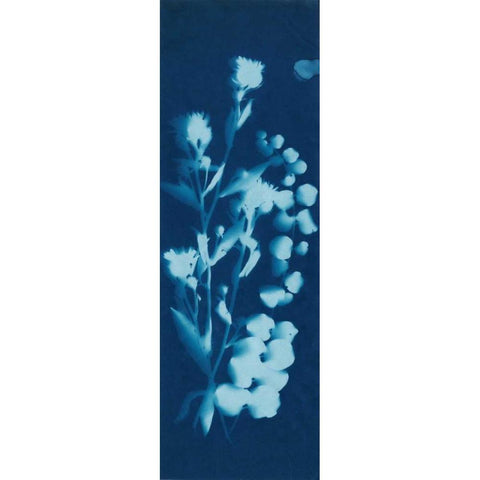 Cyanotype No.14 Gold Ornate Wood Framed Art Print with Double Matting by Guthrie, Jenna