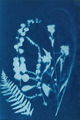 Cyanotype No.16 Black Ornate Wood Framed Art Print with Double Matting by Guthrie, Jenna