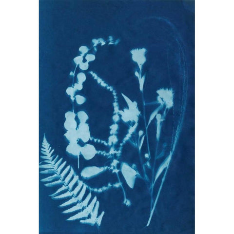 Cyanotype No.16 Gold Ornate Wood Framed Art Print with Double Matting by Guthrie, Jenna