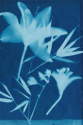Cyanotype No.18 White Modern Wood Framed Art Print with Double Matting by Guthrie, Jenna