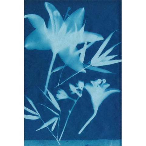 Cyanotype No.18 White Modern Wood Framed Art Print by Guthrie, Jenna