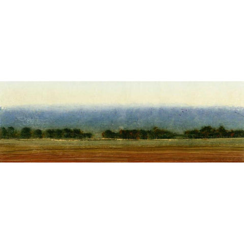 Planting Season II White Modern Wood Framed Art Print by OToole, Tim