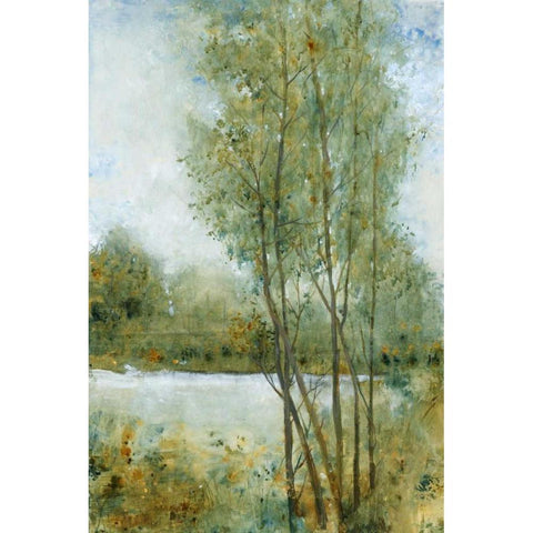 Early Spring I Black Modern Wood Framed Art Print with Double Matting by OToole, Tim