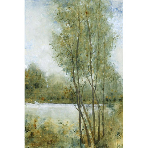 Early Spring I Black Modern Wood Framed Art Print by OToole, Tim