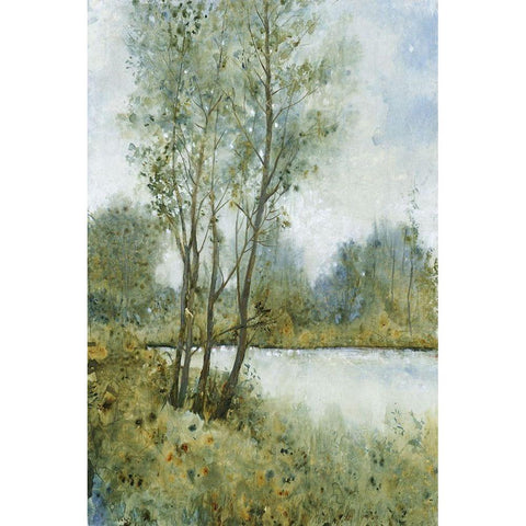 Early Spring II Black Modern Wood Framed Art Print by OToole, Tim