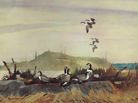 The Exploring Party White Modern Wood Framed Art Print with Double Matting by Mason, Roy M.