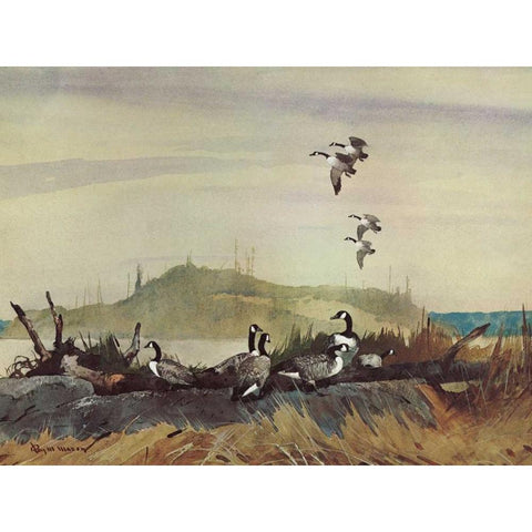 The Exploring Party White Modern Wood Framed Art Print by Mason, Roy M.