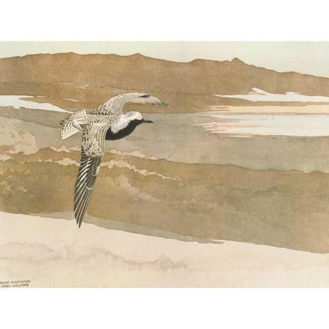 Soaring Black Modern Wood Framed Art Print with Double Matting by Sutton, George