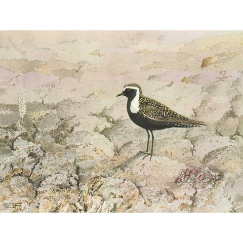 Perched Black Modern Wood Framed Art Print with Double Matting by Sutton, George