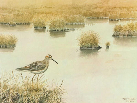 Waiting White Modern Wood Framed Art Print with Double Matting by Sutton, George