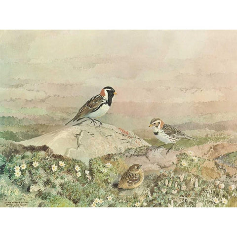 Gathering Black Modern Wood Framed Art Print by Sutton, George