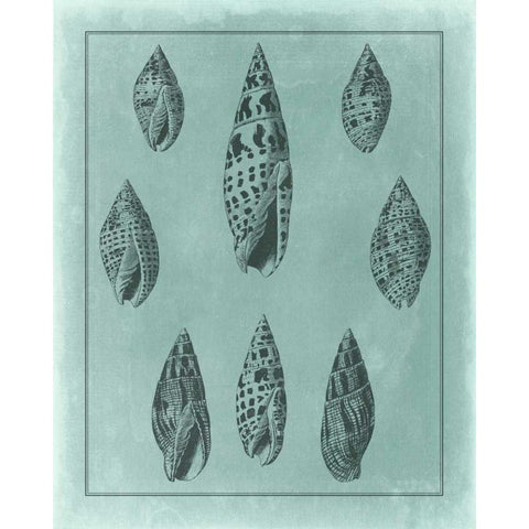 Spa Shell Collection IV White Modern Wood Framed Art Print by Vision Studio