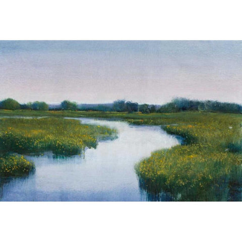 Marshlands I Gold Ornate Wood Framed Art Print with Double Matting by OToole, Tim