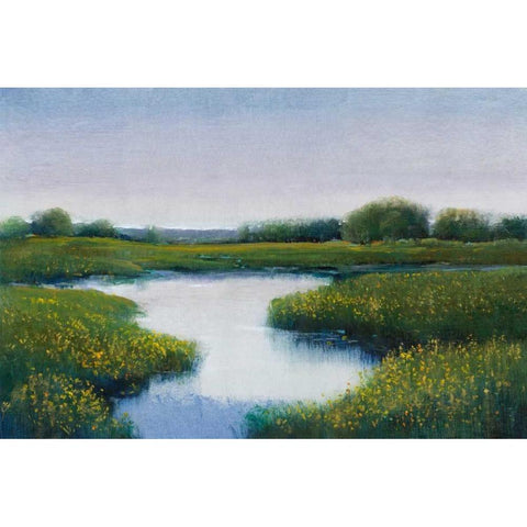 Marshlands II Gold Ornate Wood Framed Art Print with Double Matting by OToole, Tim