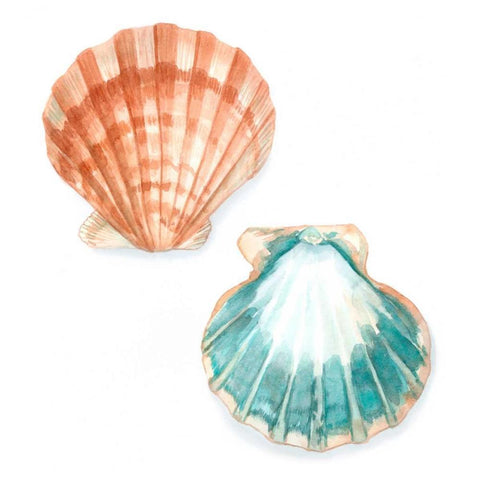 Watercolor Shells I White Modern Wood Framed Art Print with Double Matting by Meagher, Megan