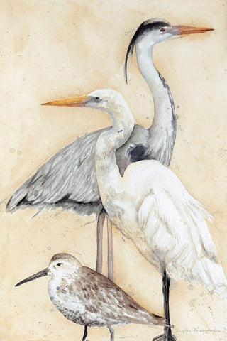 Watercolor Waterbirds I White Modern Wood Framed Art Print with Double Matting by Meagher, Megan