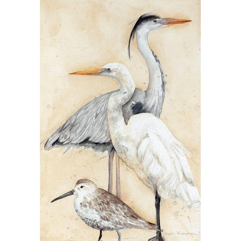 Watercolor Waterbirds I Black Modern Wood Framed Art Print by Meagher, Megan