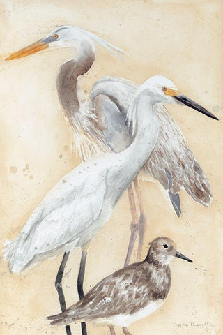 Watercolor Waterbirds II White Modern Wood Framed Art Print with Double Matting by Meagher, Megan