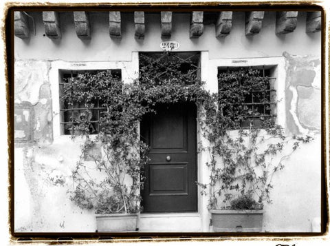 Venetian Doorways V Black Ornate Wood Framed Art Print with Double Matting by DeNardo, Laura