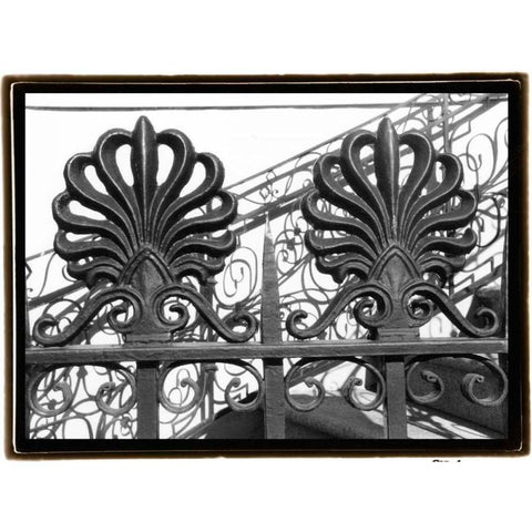 Wrought Iron Elegance I Black Modern Wood Framed Art Print with Double Matting by DeNardo, Laura