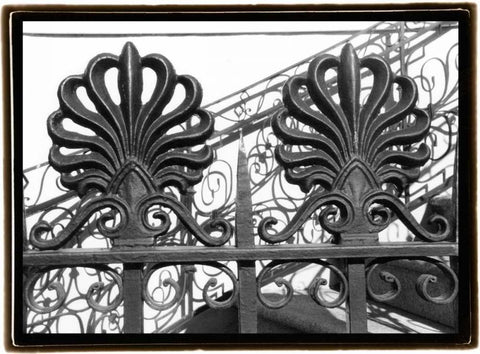 Wrought Iron Elegance I Black Ornate Wood Framed Art Print with Double Matting by DeNardo, Laura