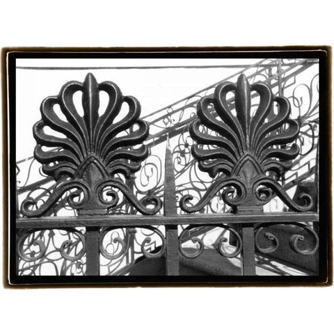 Wrought Iron Elegance I Black Modern Wood Framed Art Print with Double Matting by DeNardo, Laura