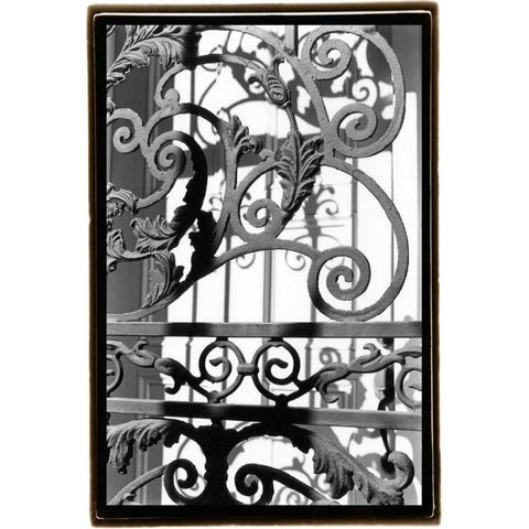 Wrought Iron Elegance II Gold Ornate Wood Framed Art Print with Double Matting by DeNardo, Laura