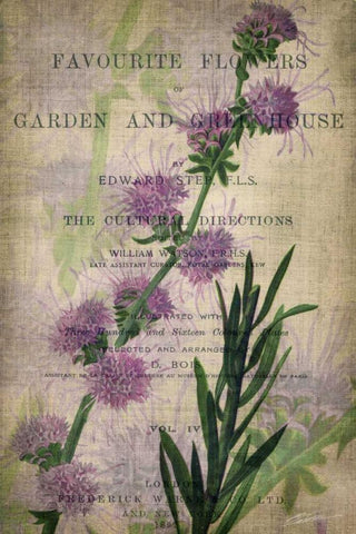 Favorite Flowers I White Modern Wood Framed Art Print with Double Matting by Butler, John