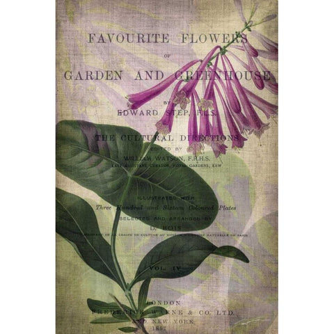 Favorite Flowers III White Modern Wood Framed Art Print by Butler, John