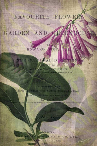 Favorite Flowers III White Modern Wood Framed Art Print with Double Matting by Butler, John