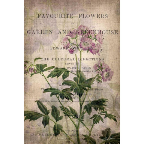 Favorite Flowers IV Black Modern Wood Framed Art Print with Double Matting by Butler, John