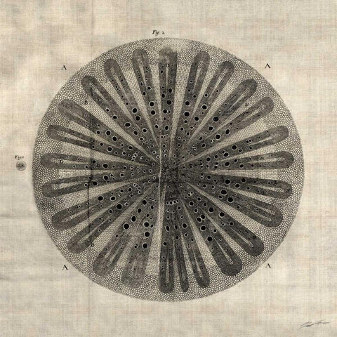 Cross Cut III Black Modern Wood Framed Art Print with Double Matting by Butler, John