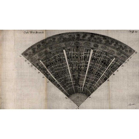 Tree Fan IV Gold Ornate Wood Framed Art Print with Double Matting by Butler, John