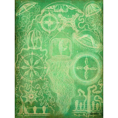 Sealife III White Modern Wood Framed Art Print by Butler, John